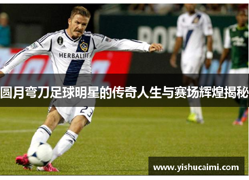圆月弯刀足球明星的传奇人生与赛场辉煌揭秘