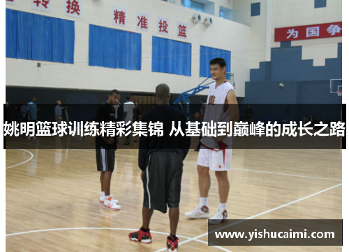 姚明篮球训练精彩集锦 从基础到巅峰的成长之路