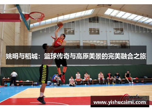 姚明与稻城：篮球传奇与高原美景的完美融合之旅