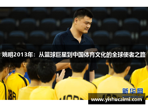 姚明2013年：从篮球巨星到中国体育文化的全球使者之路