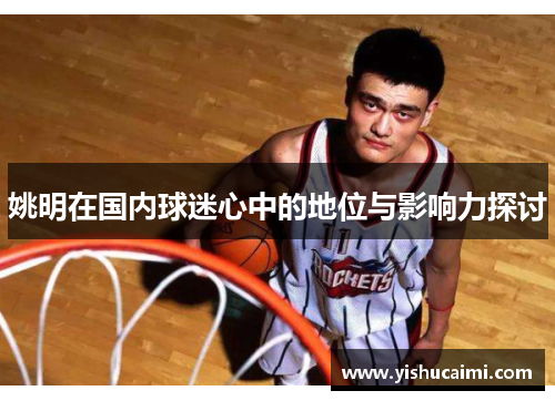 姚明在国内球迷心中的地位与影响力探讨