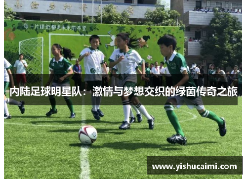 内陆足球明星队：激情与梦想交织的绿茵传奇之旅